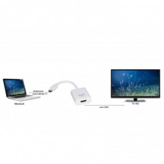 ADATTATORE USB-C /  HDMI® 4KX2K 60HZ FEMMINA