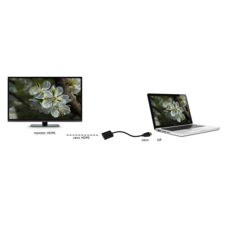 ADATTATORE DISPLAYPORT 1.2 MASCHIO - HDMI® 1.4 FEMMINA CONTATTI DORATI 4K@30HZ CM 20