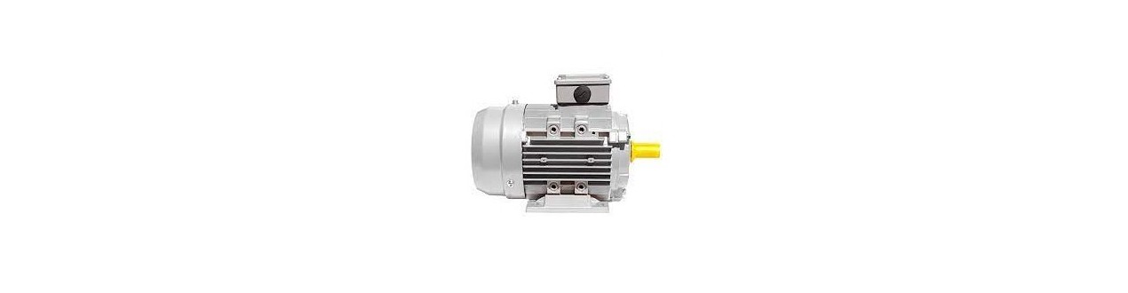 MOTORI ELETTRICI - Offerte e Prezzi Online | Elettrojoyce