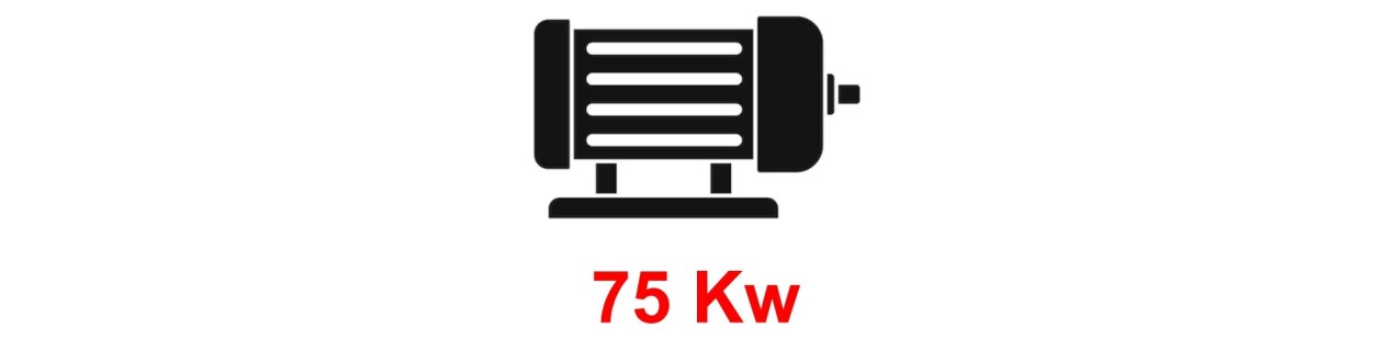 Motori Elettrici Monofase Professionali | Elettrojoyce