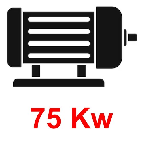 MOTORI ELETTRICI 75 KW