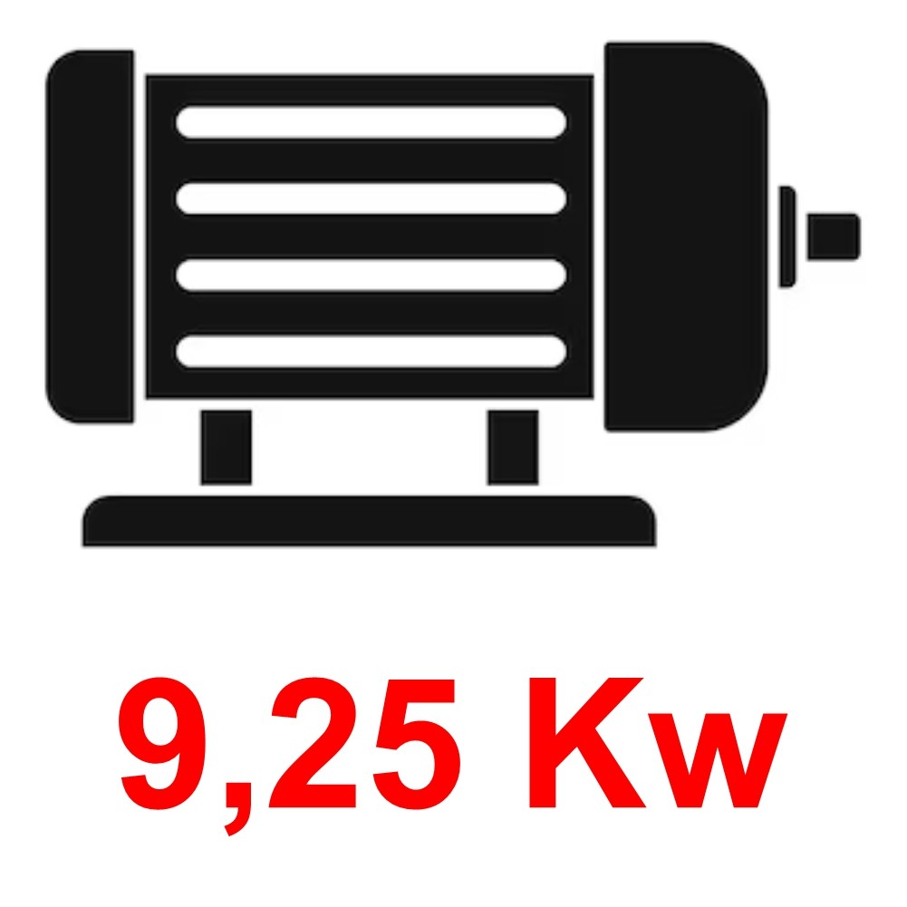 MOTORI ELETTRICI 9,25 KW
