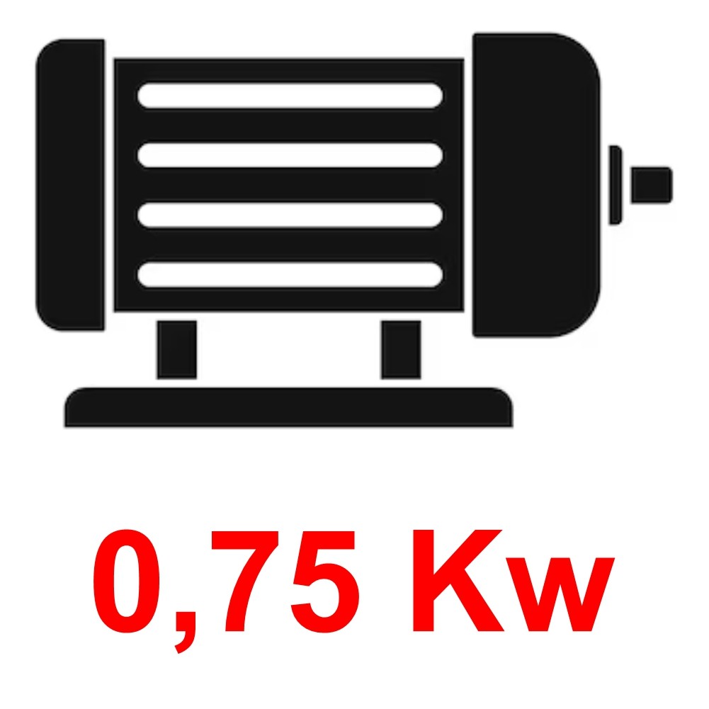 MOTORI ELETTRICI 0,75 KW